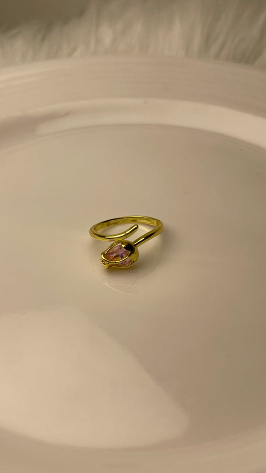 Premium Adjustable Stainless Steel Ring