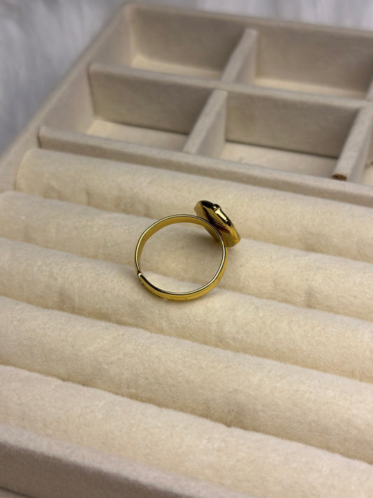 Premium Adjustable Stainless Steel Ring