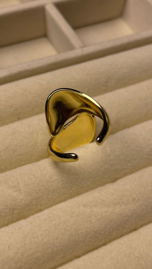 Premium Adjustable Stainless Steel Ring