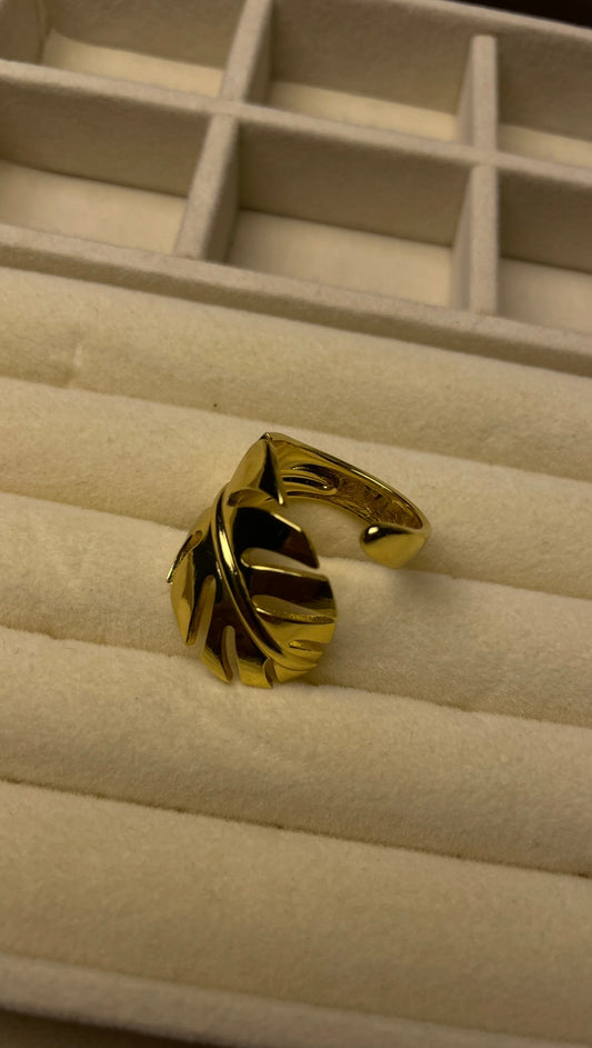 Premium Adjustable Stainless Steel Ring