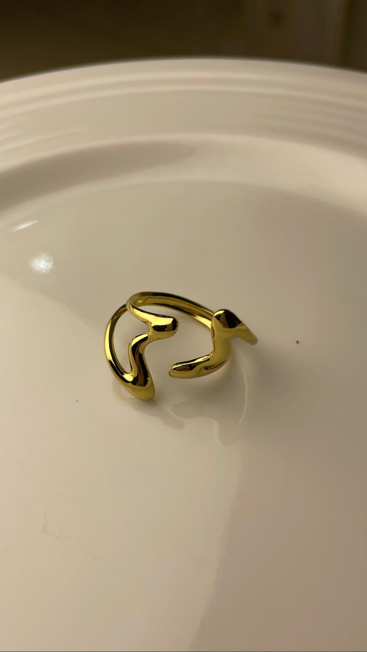 Premium Adjustable Stainless Steel Ring