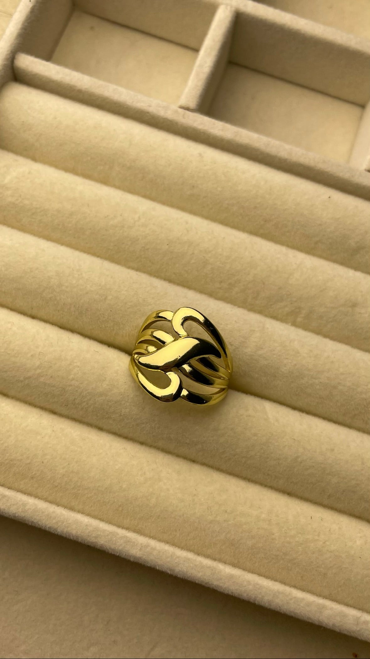 Premium Adjustable Stainless Steel Ring