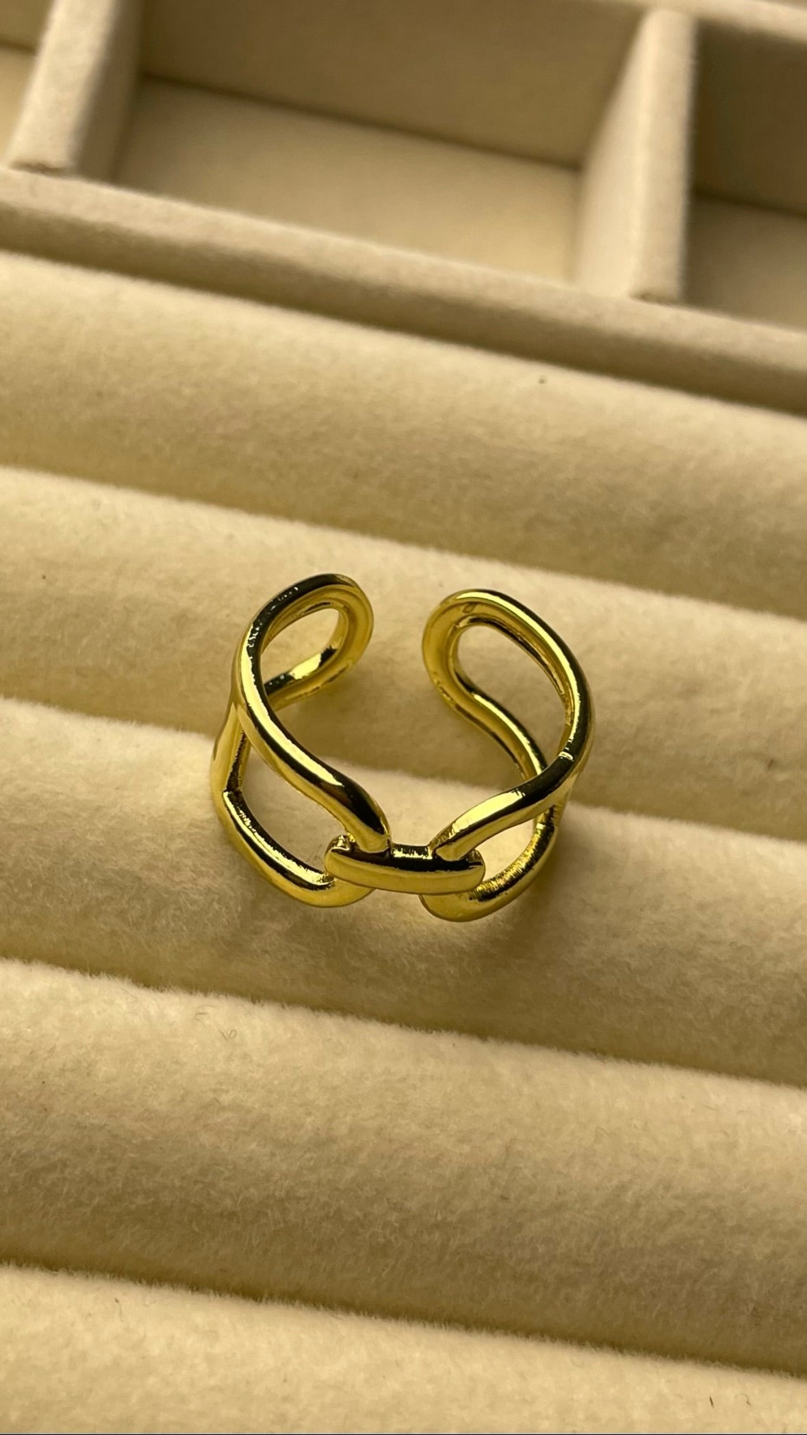 Premium Adjustable Stainless Steel Ring