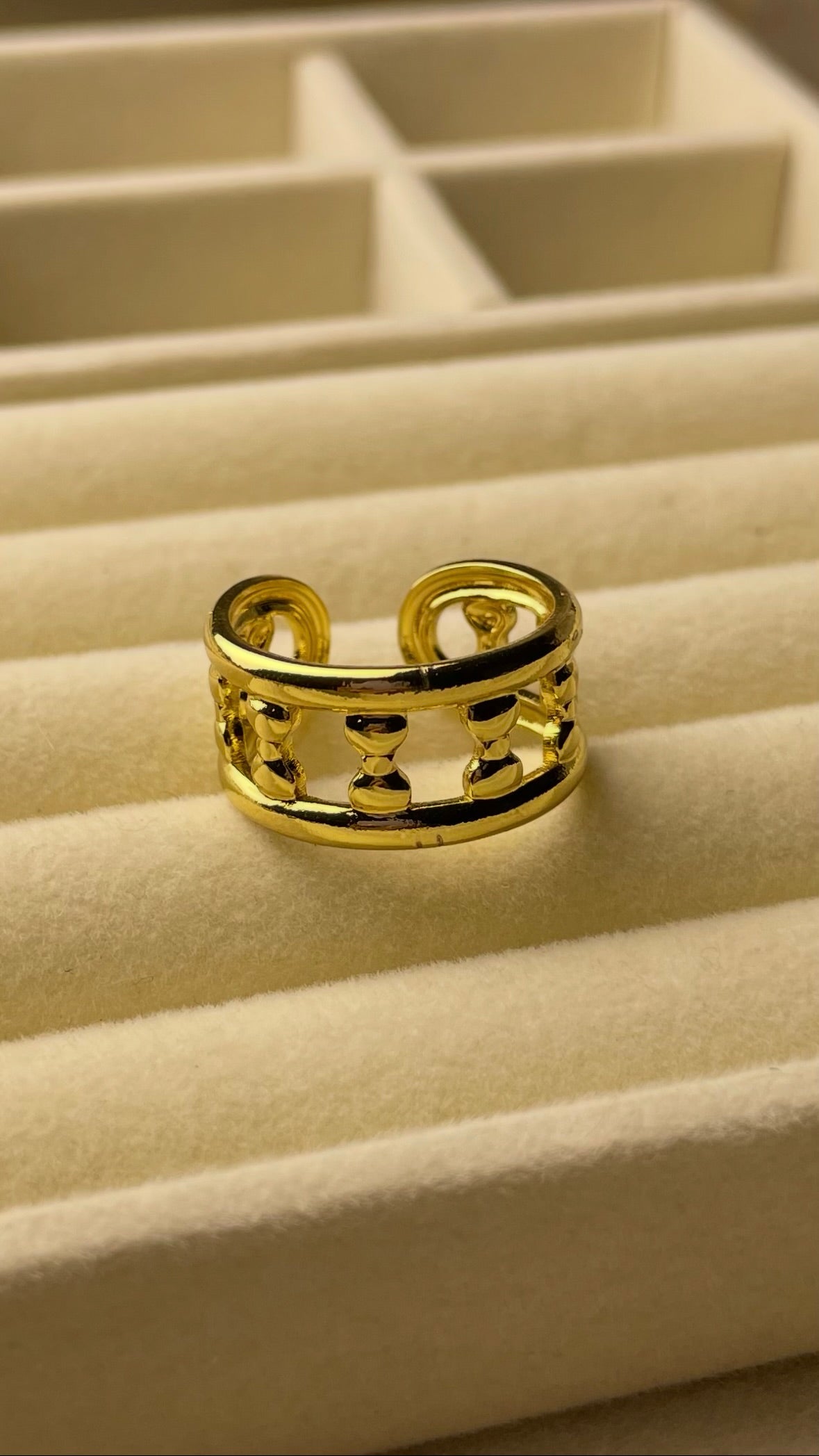Premium Adjustable Stainless Steel Ring