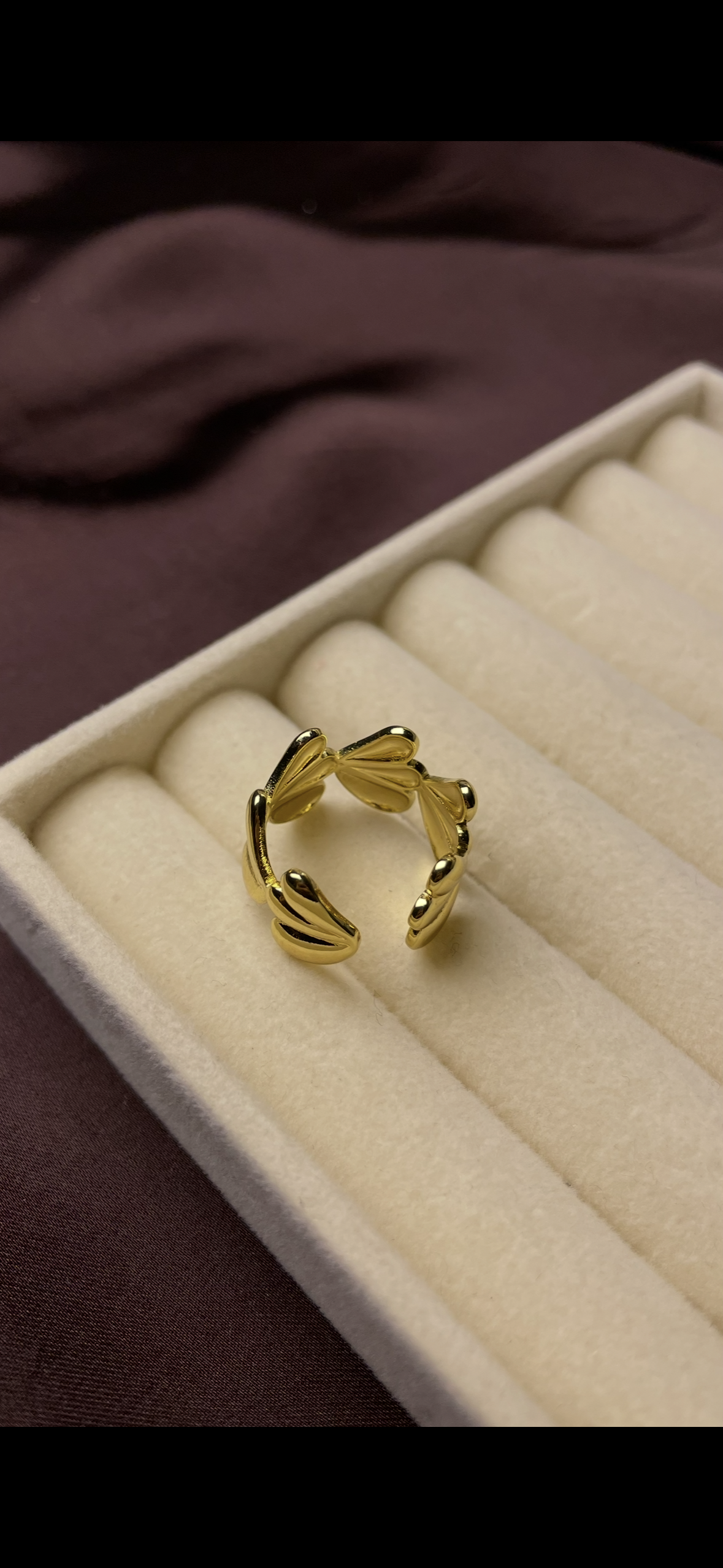 Premium Adjustable Stainless Steel Ring