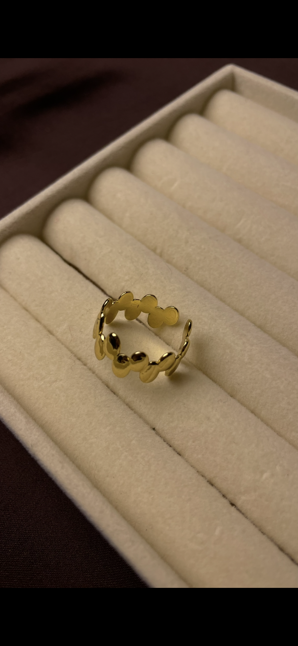 Premium Adjustable Stainless Steel Ring
