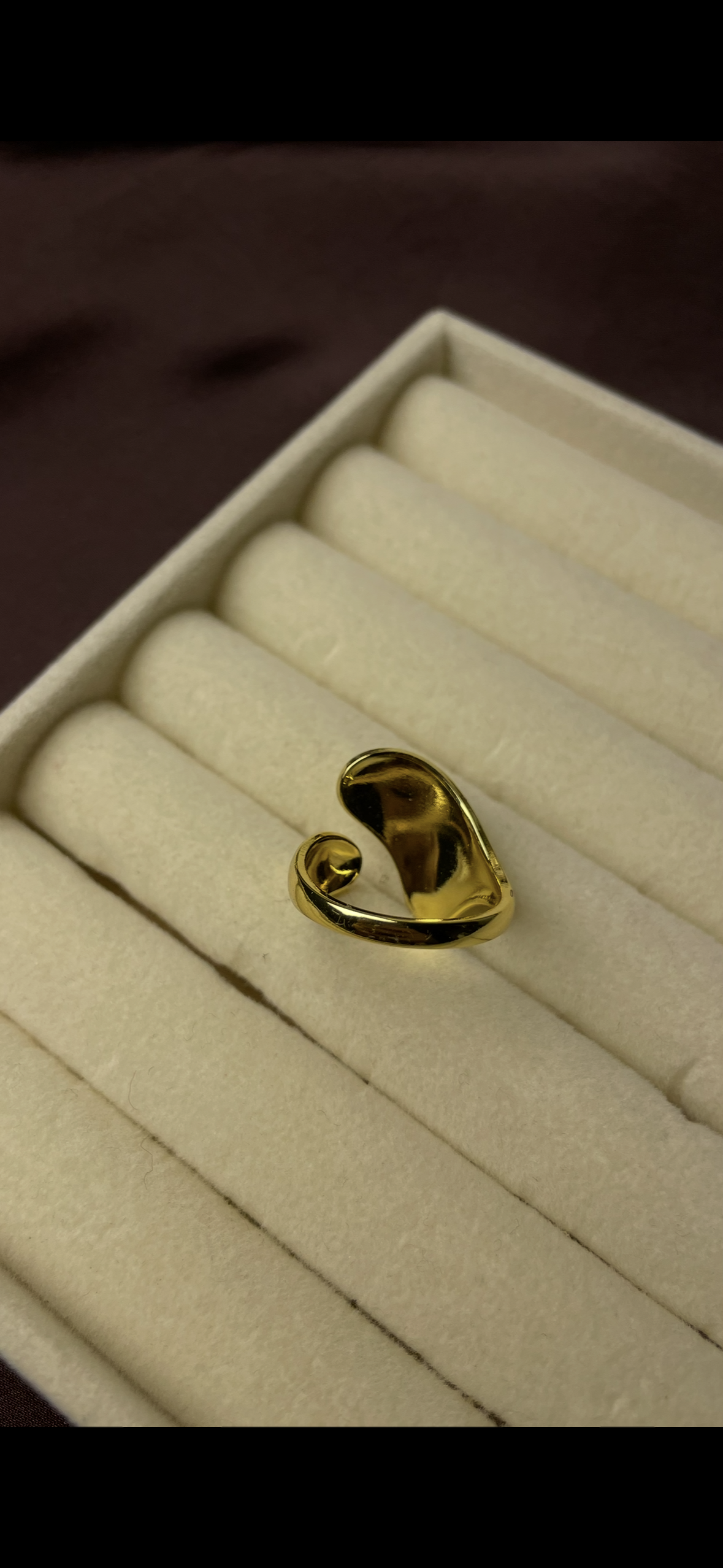 Premium Adjustable Stainless Steel Ring