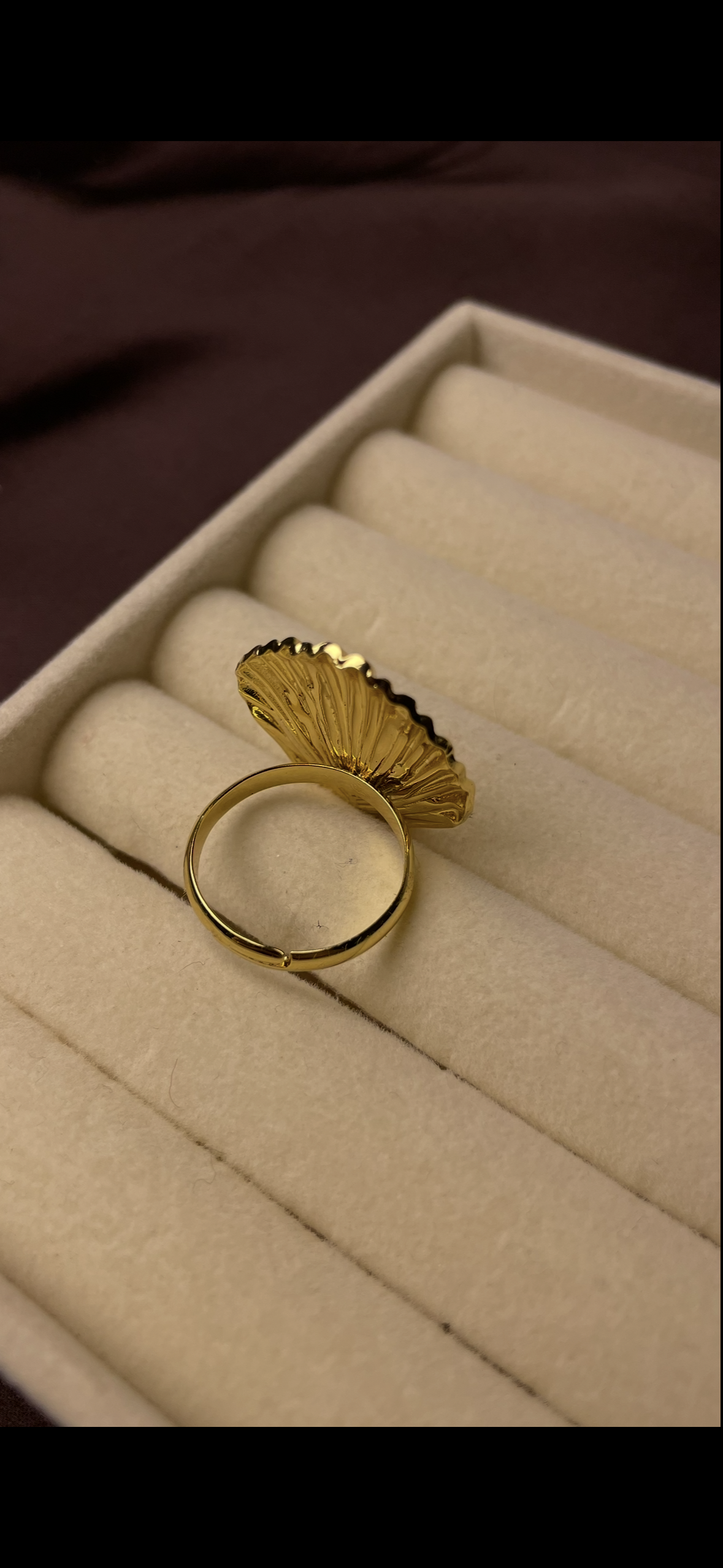 Premium Adjustable Stainless Steel Ring