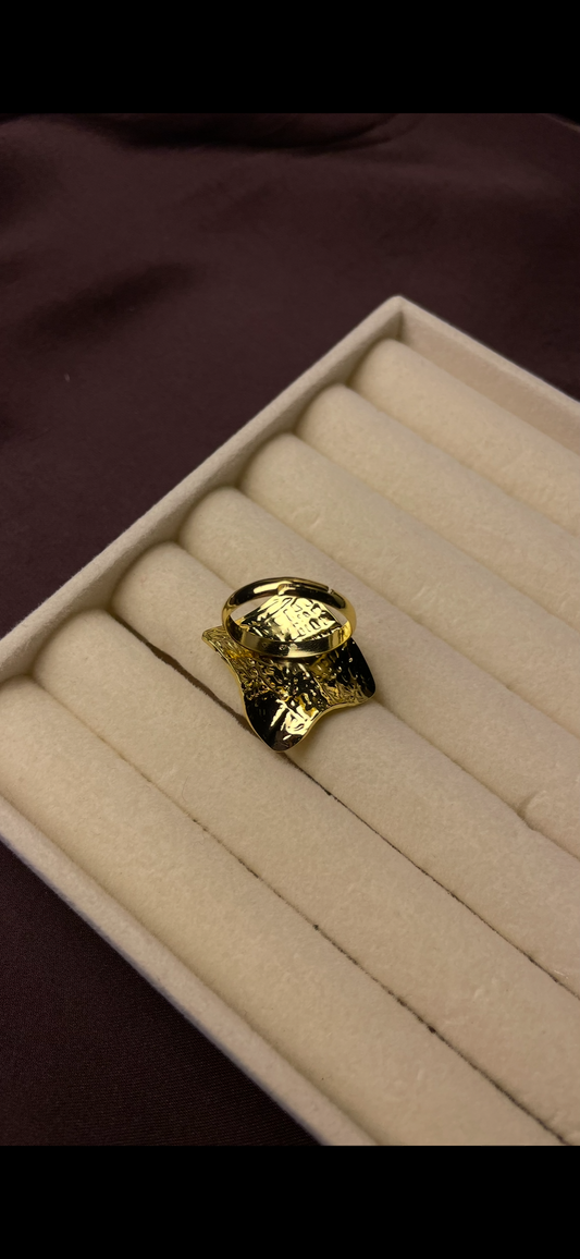Premium Adjustable Stainless Steel Ring