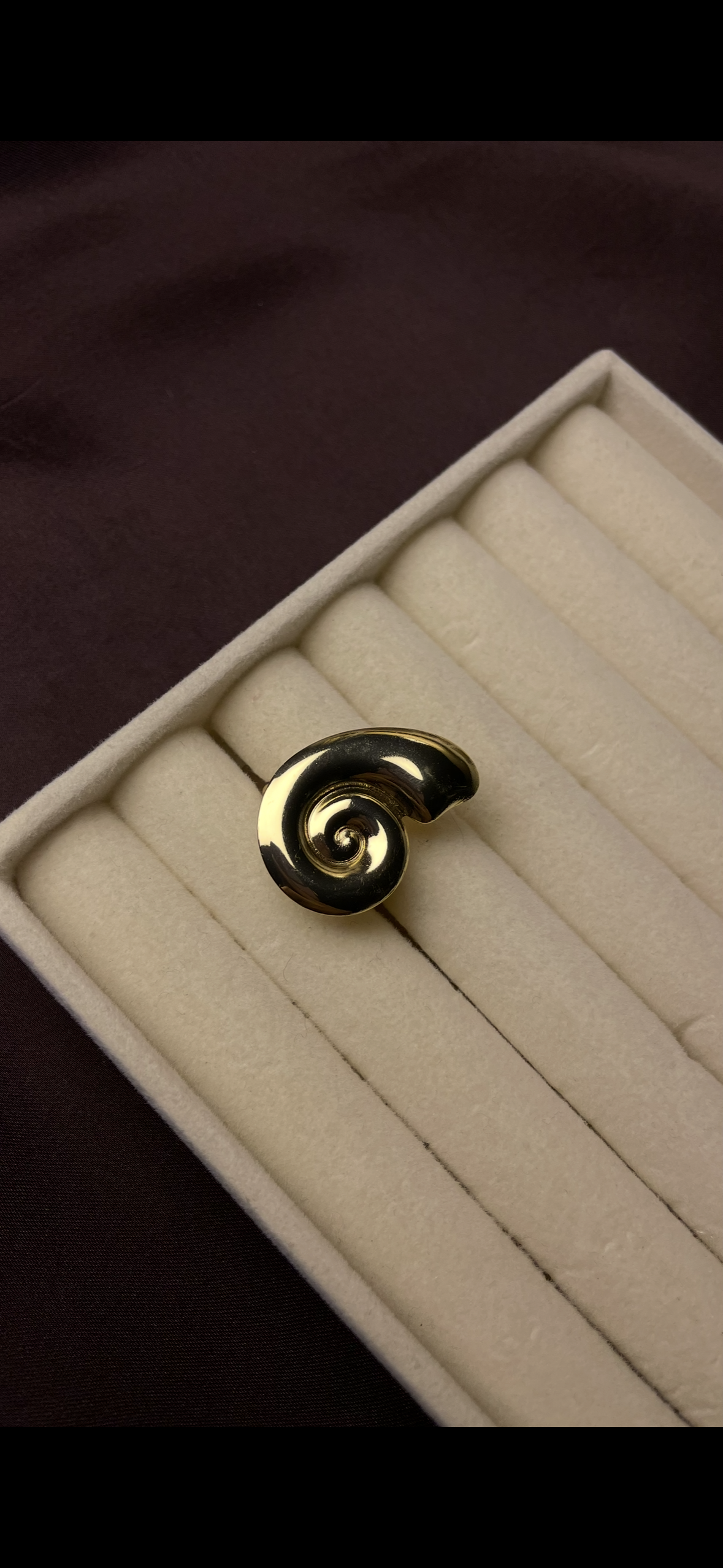 Premium Adjustable Stainless Steel Ring