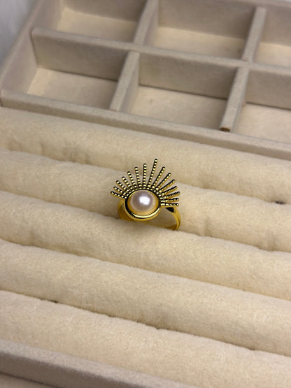 Premium Adjustable Stainless Steel Ring