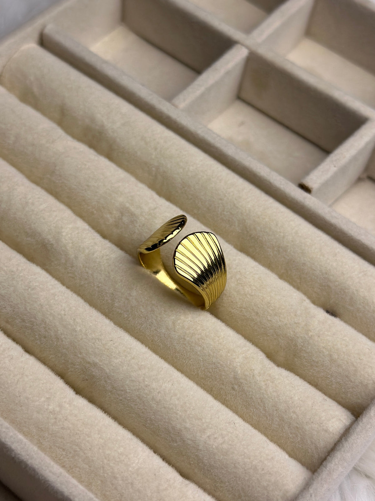 Premium Adjustable Stainless Steel Ring
