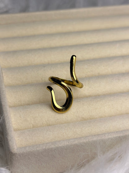 Premium Adjustable Stainless Steel Ring