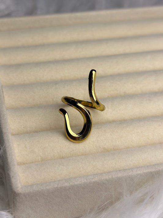 Premium Adjustable Stainless Steel Ring