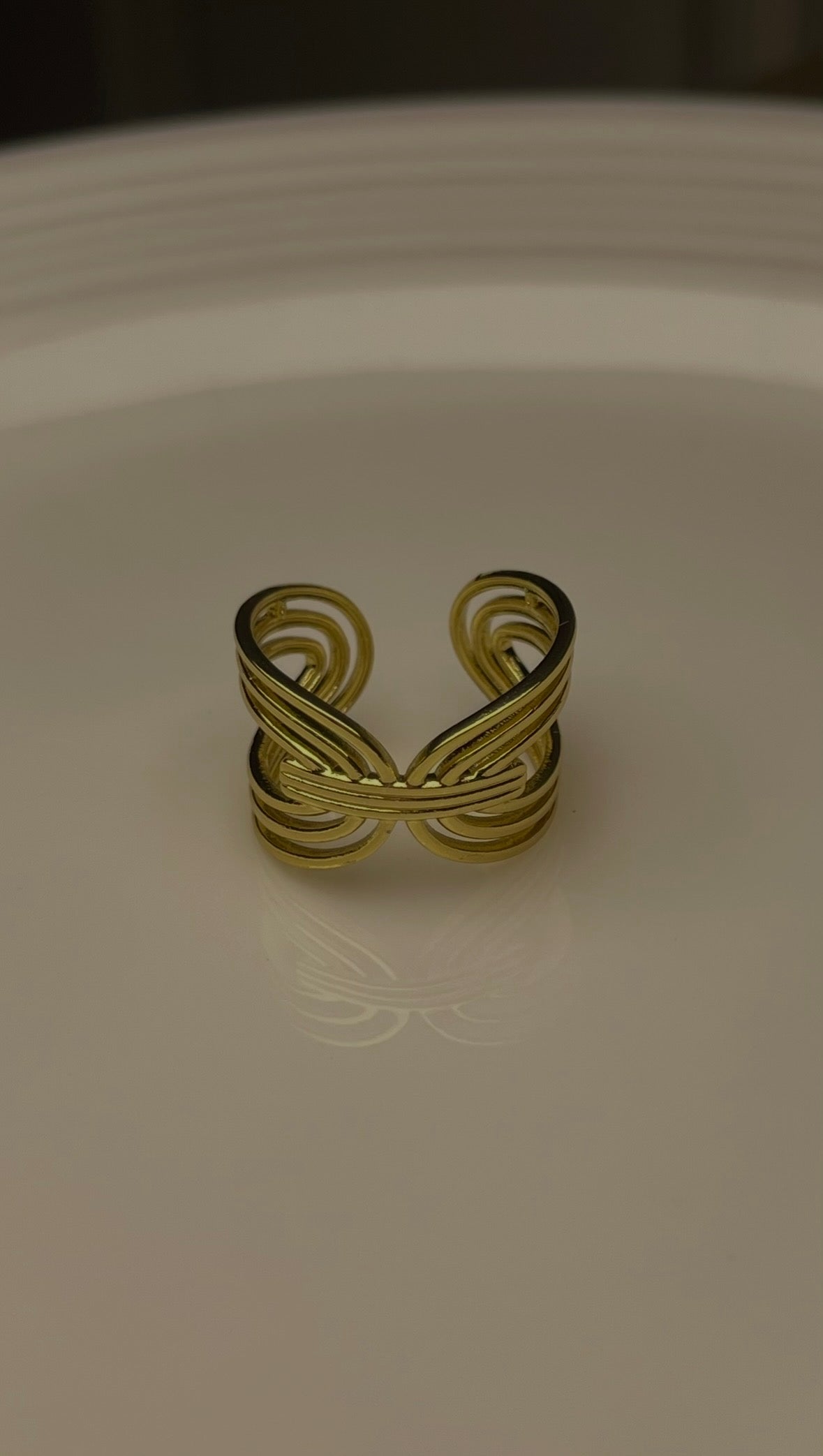 Premium Adjustable Stainless Steel Ring