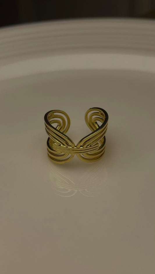 Premium Adjustable Stainless Steel Ring