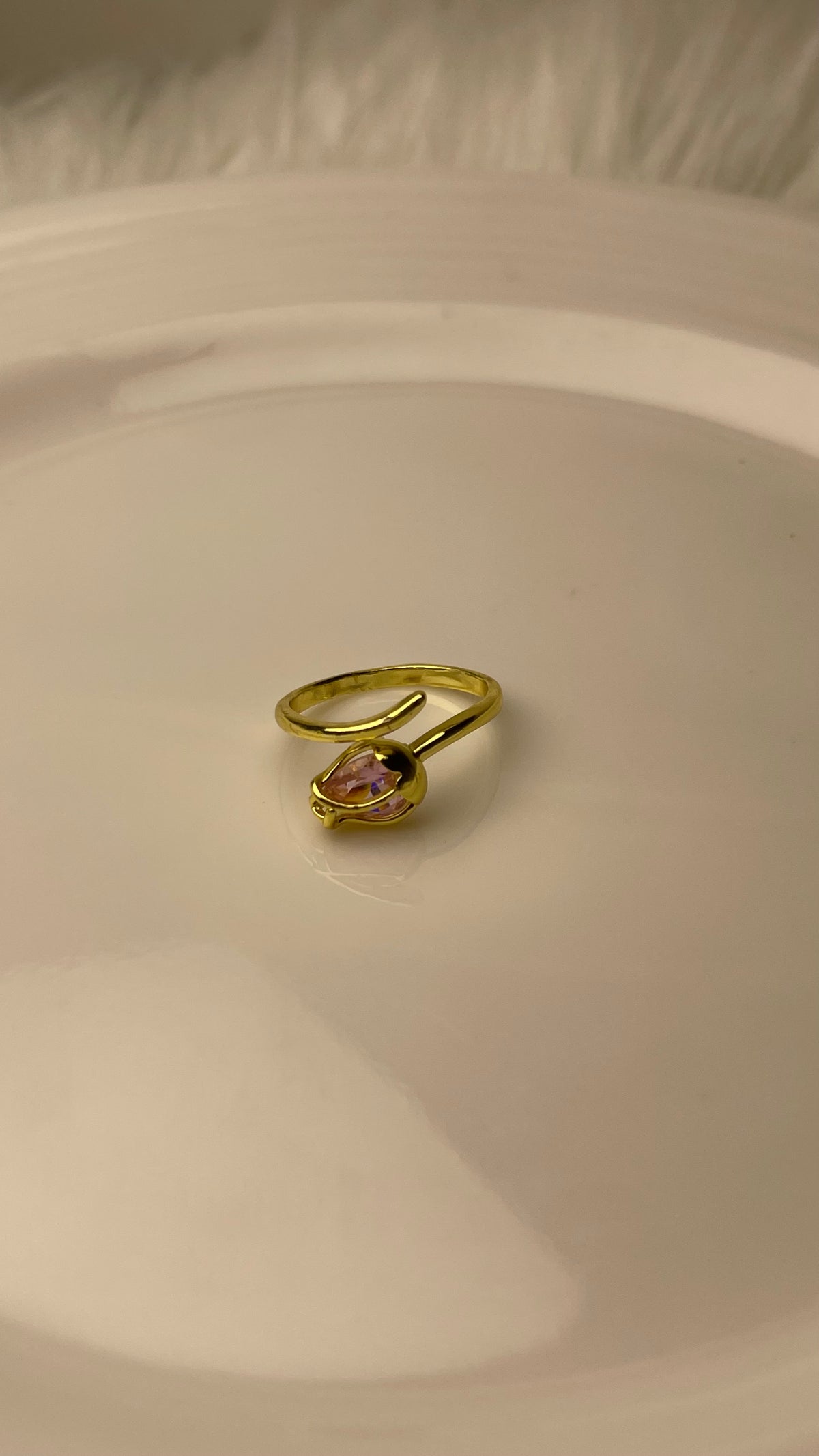 Premium Adjustable Stainless Steel Ring