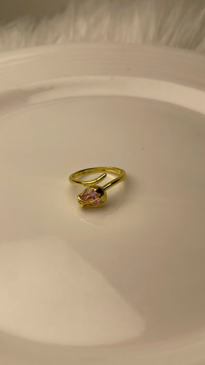 Premium Adjustable Stainless Steel Ring