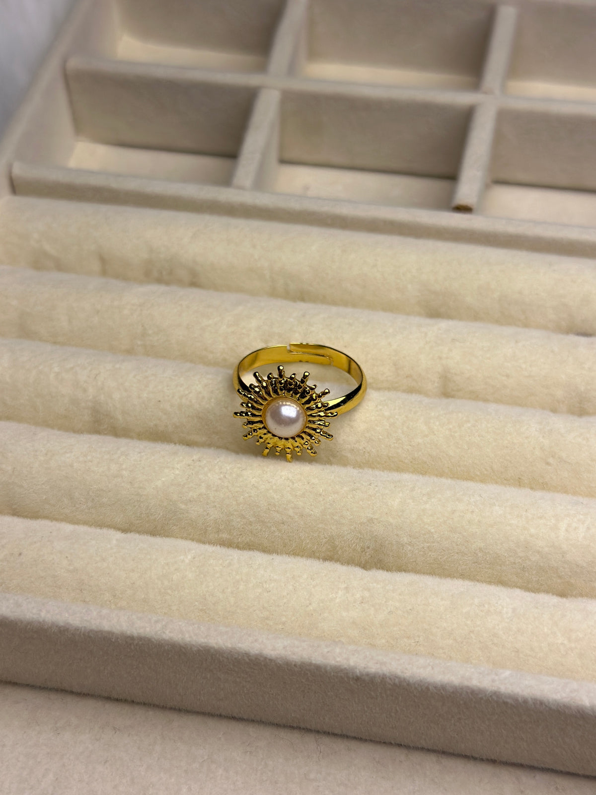 Premium Adjustable Stainless Steel Ring