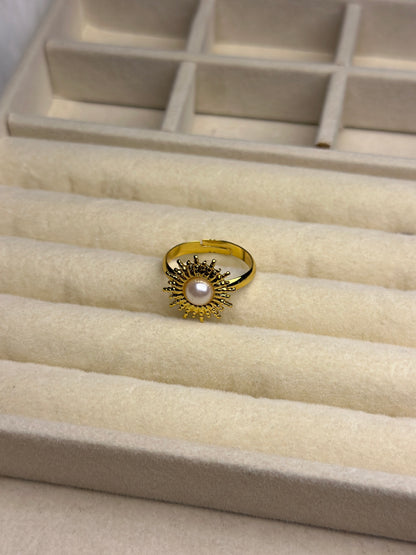 Premium Adjustable Stainless Steel Ring