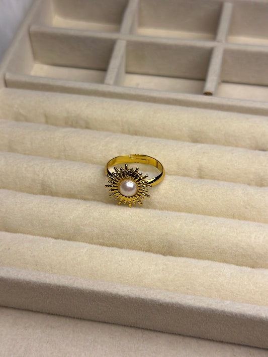 Premium Adjustable Stainless Steel Ring