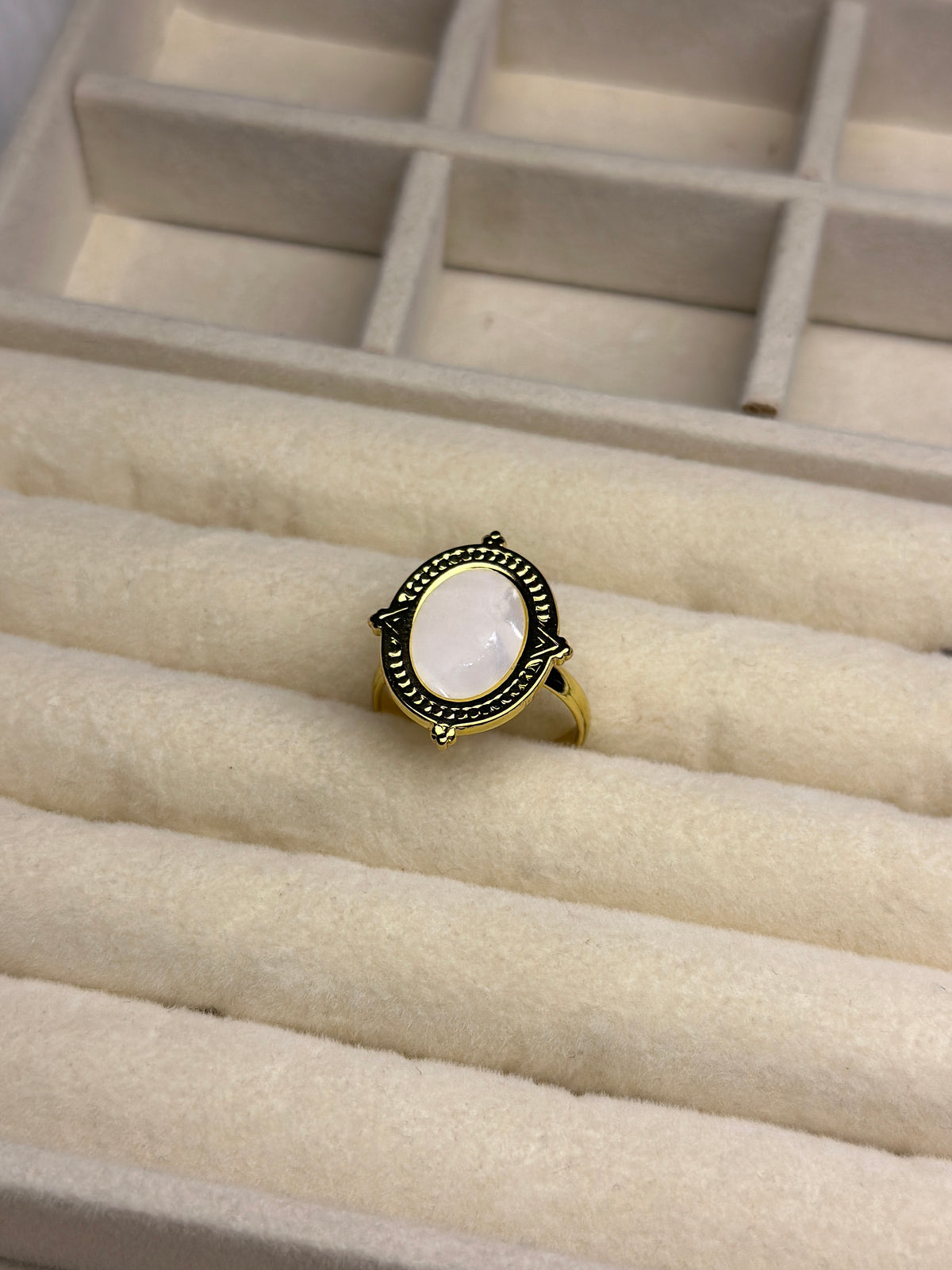 Premium Adjustable Stainless Steel Ring