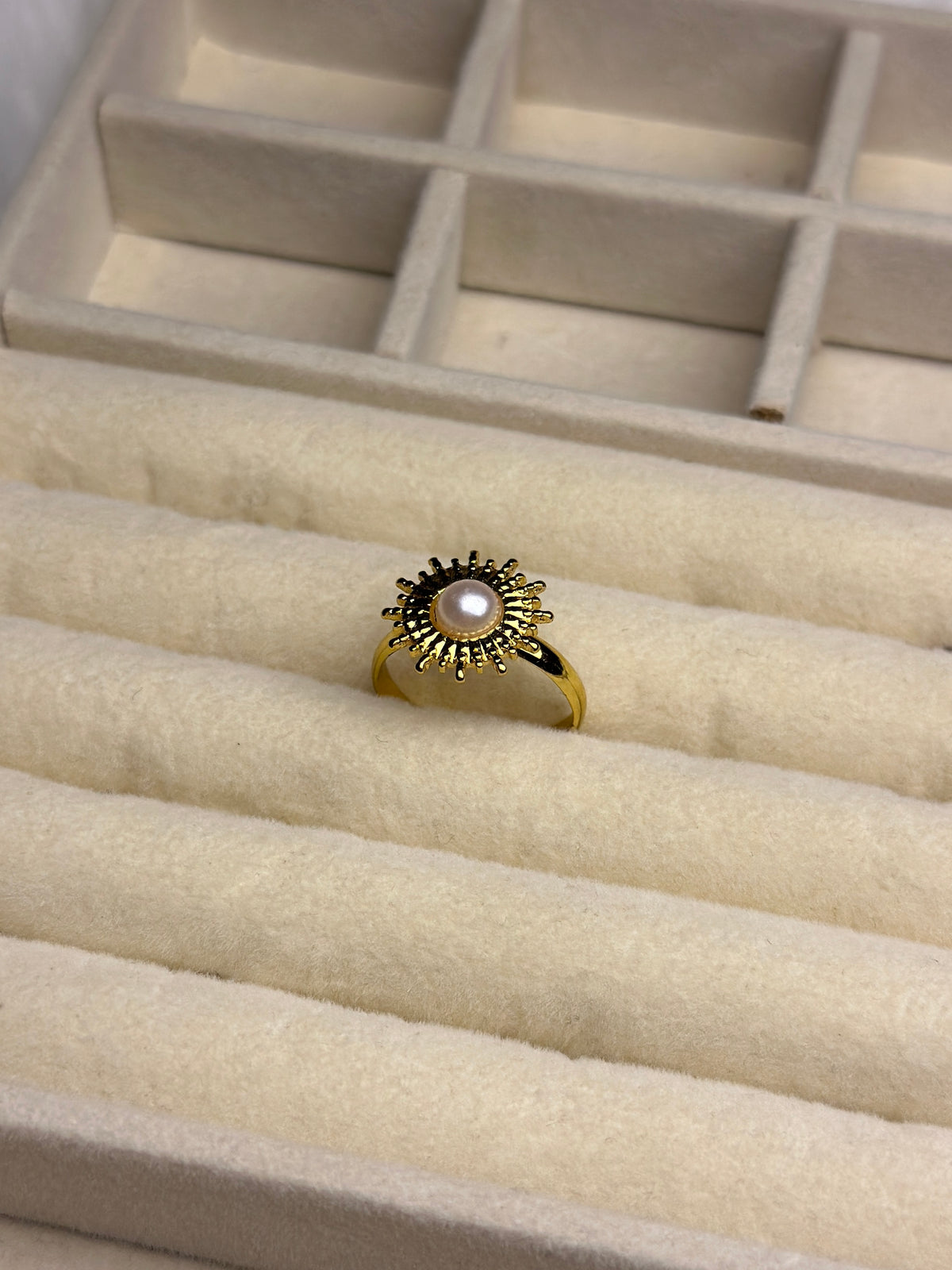 Premium Adjustable Stainless Steel Ring