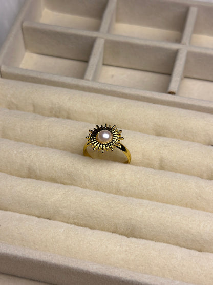 Premium Adjustable Stainless Steel Ring