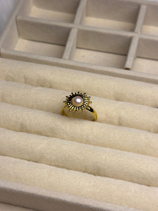 Premium Adjustable Stainless Steel Ring