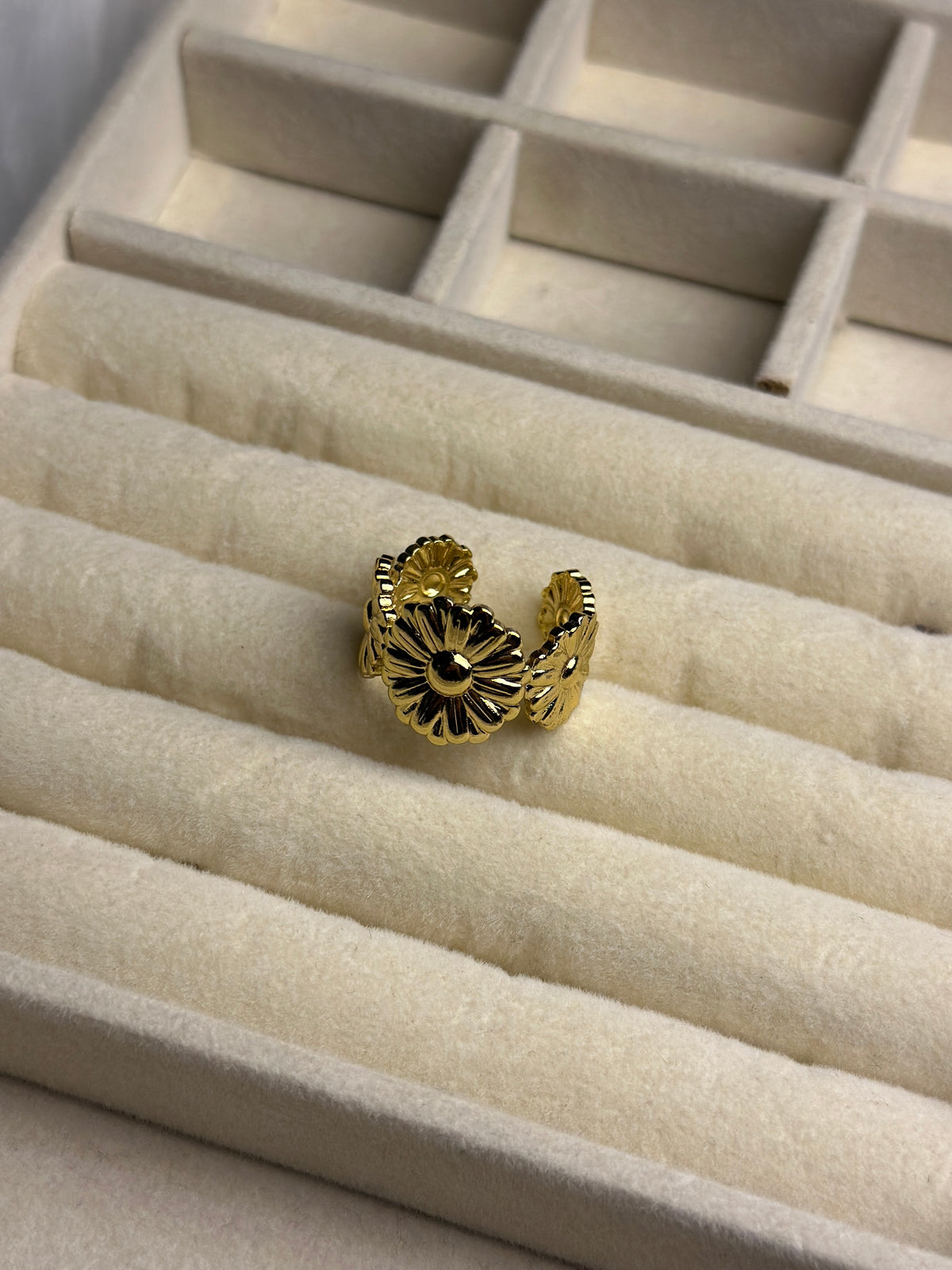 Premium Adjustable Stainless Steel Ring