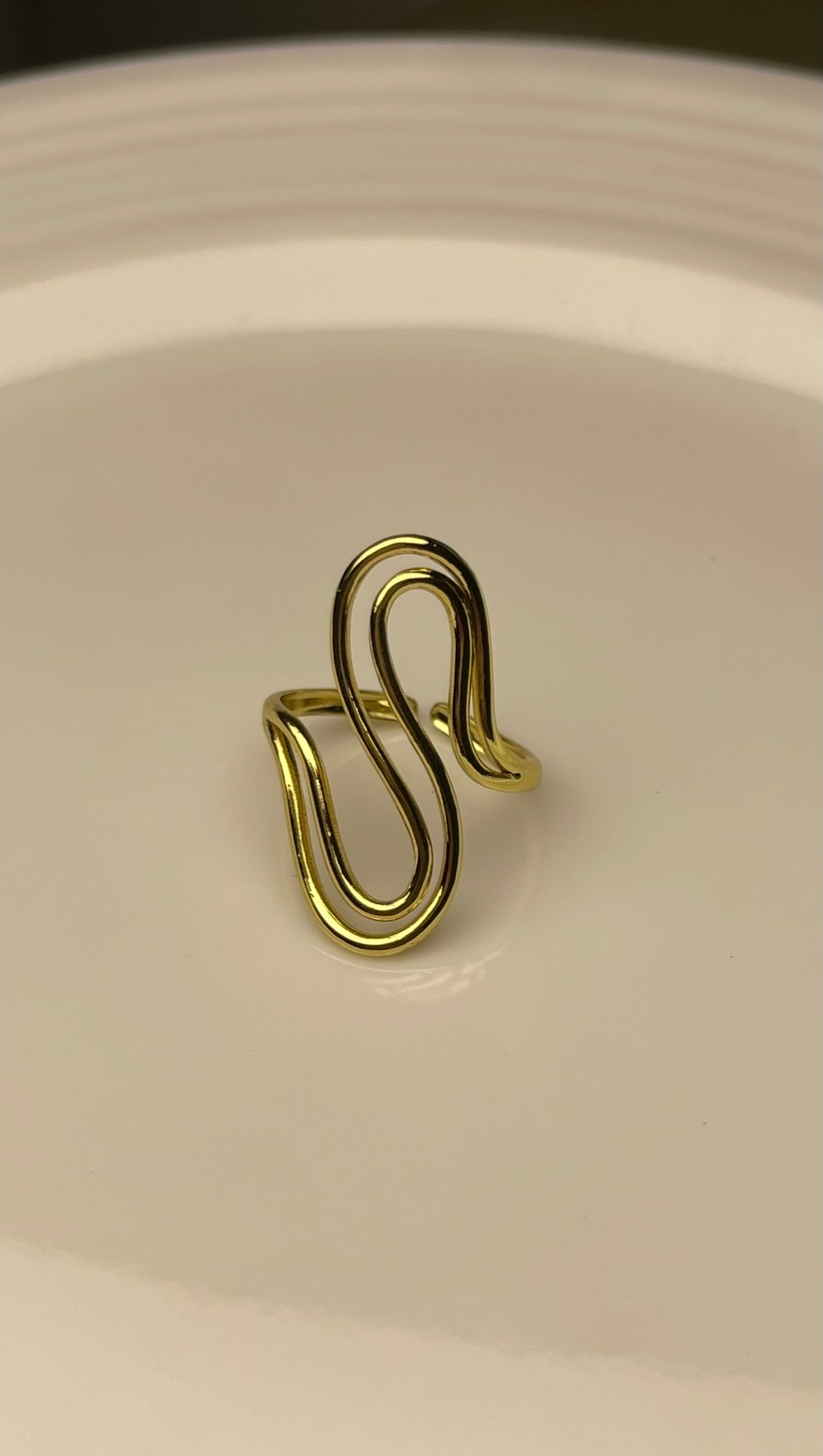 Premium Adjustable Stainless Steel Ring