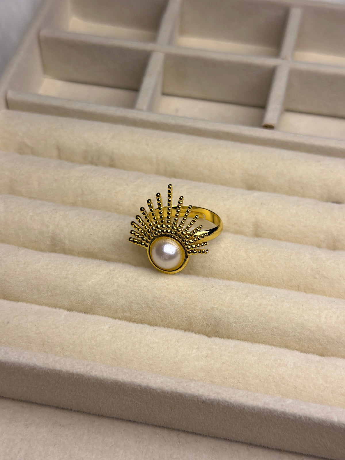 Premium Adjustable Stainless Steel Ring