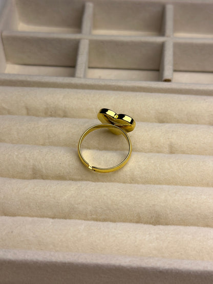 Premium Adjustable Stainless Steel Ring