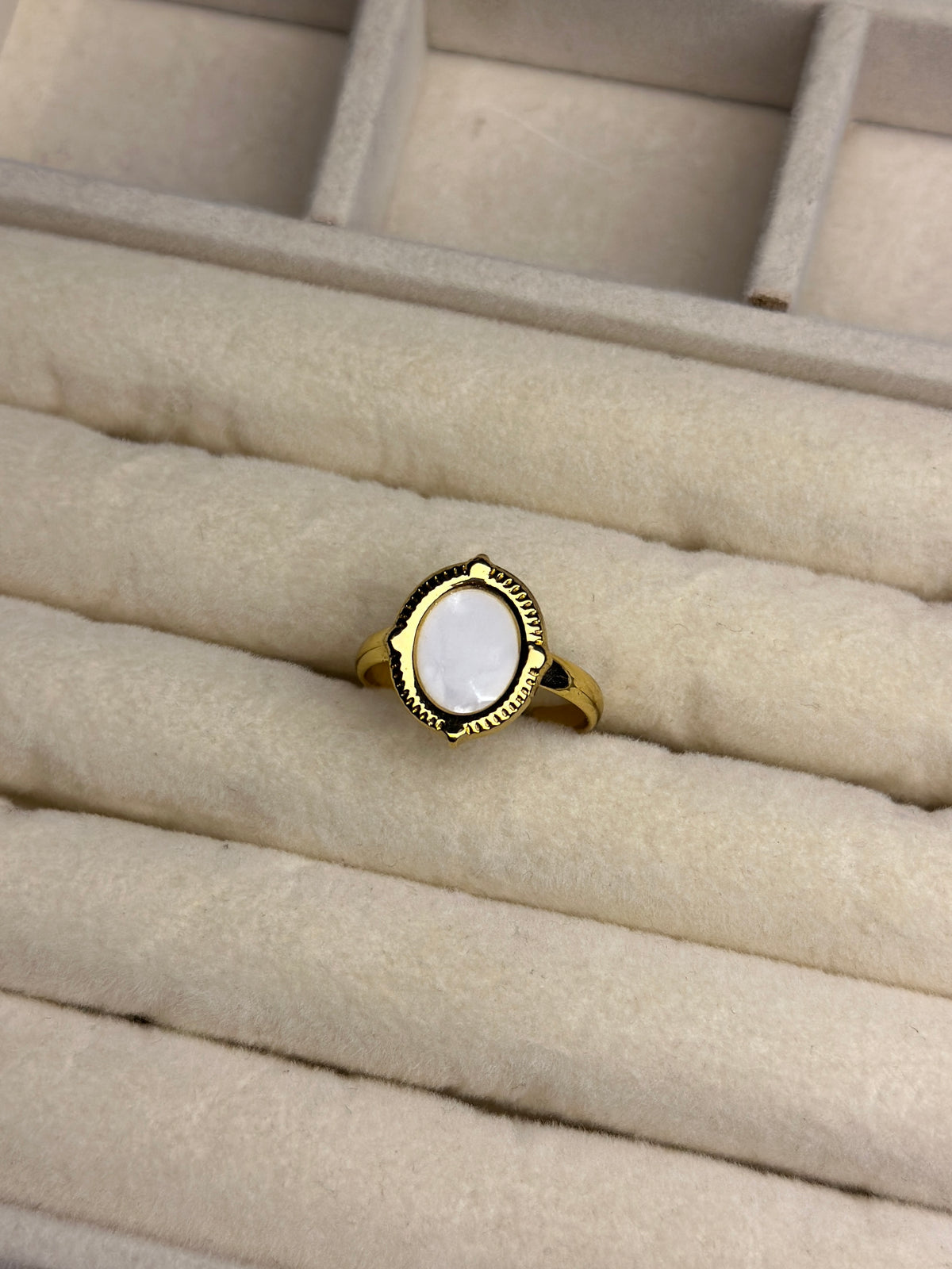 Premium Adjustable Stainless Steel Ring