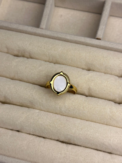 Premium Adjustable Stainless Steel Ring