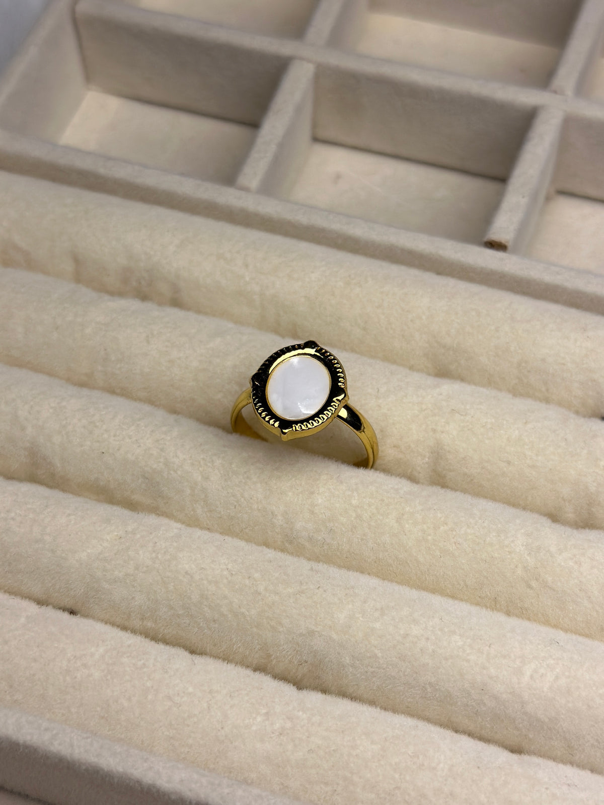 Premium Adjustable Stainless Steel Ring