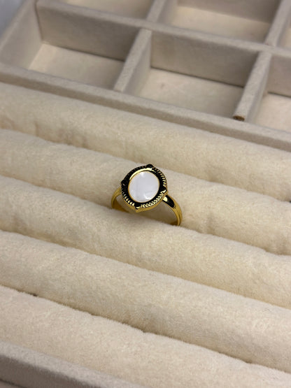 Premium Adjustable Stainless Steel Ring