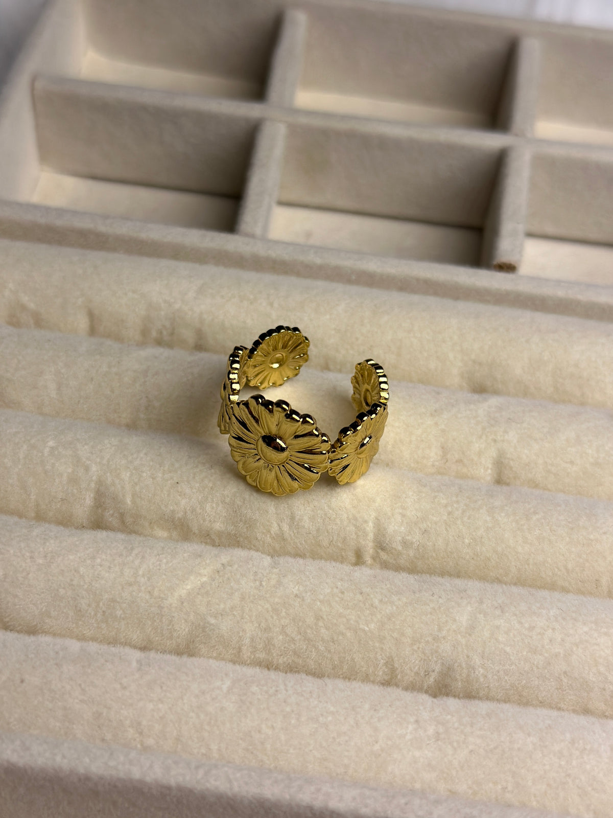 Premium Adjustable Stainless Steel Ring