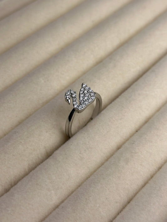 Premium Adjustable Stainless Steel Ring