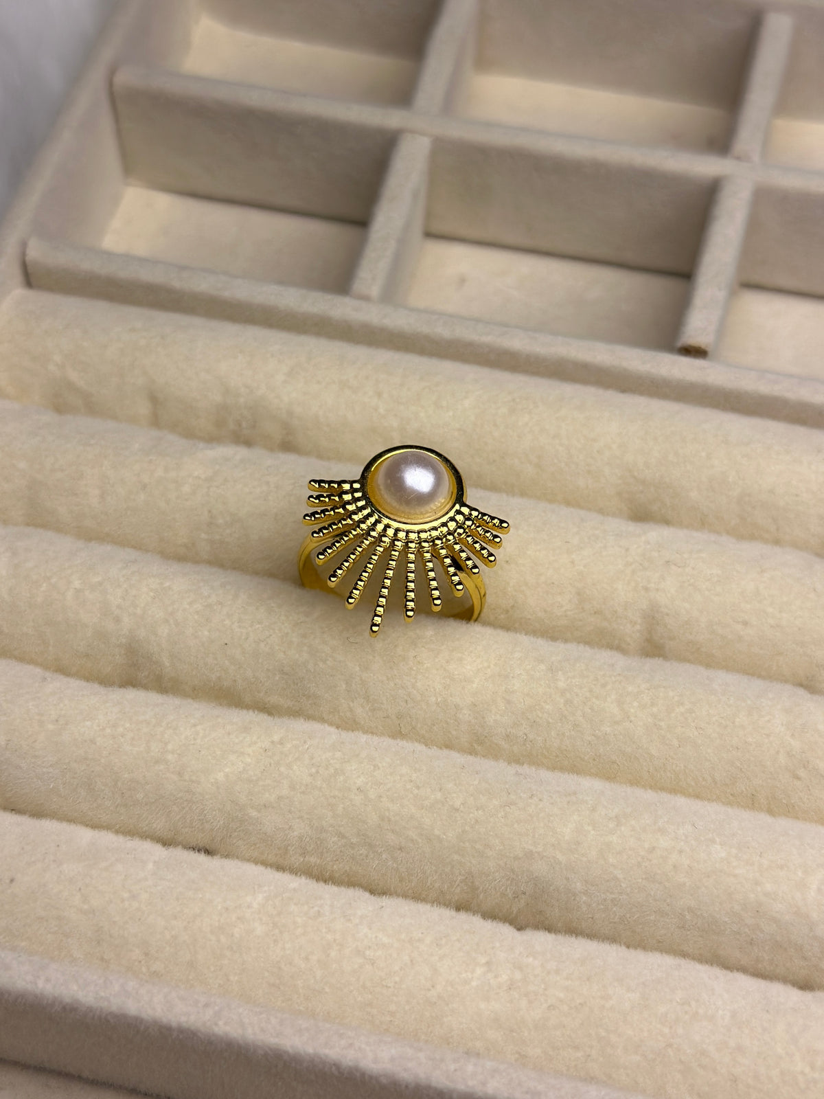 Premium Adjustable Stainless Steel Ring