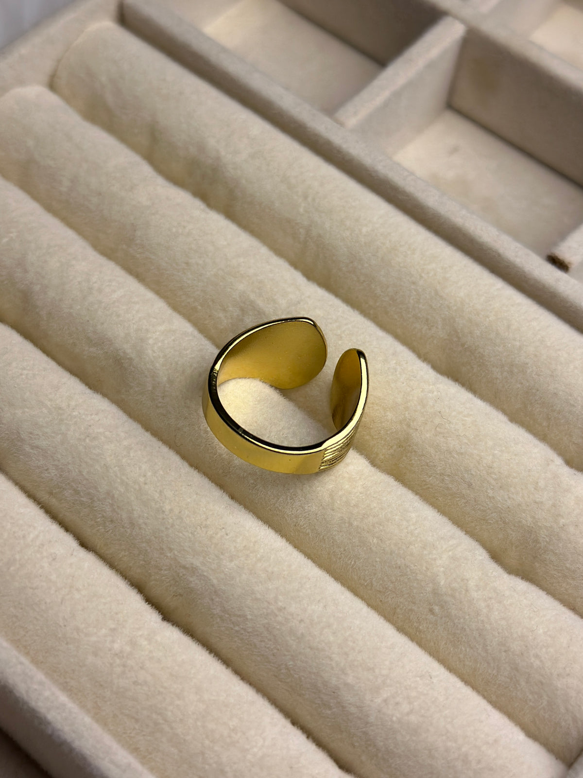 Premium Adjustable Stainless Steel Ring