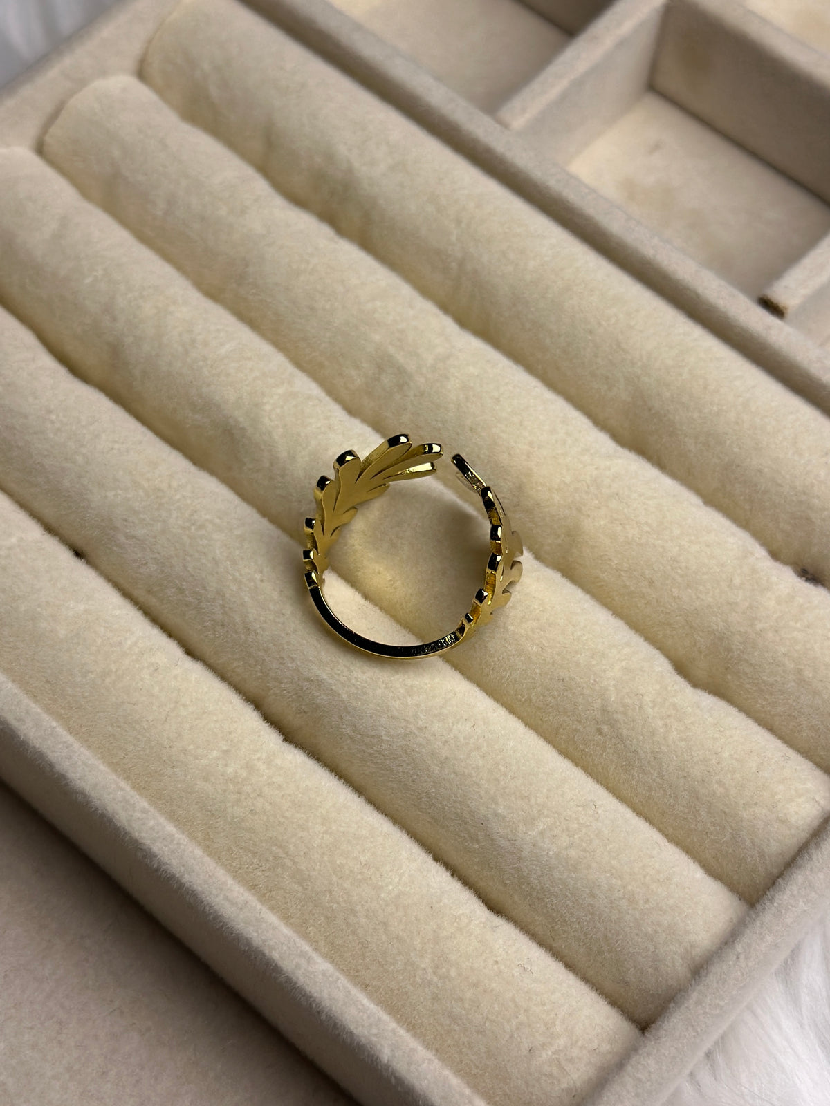 Premium Adjustable Stainless Steel Ring