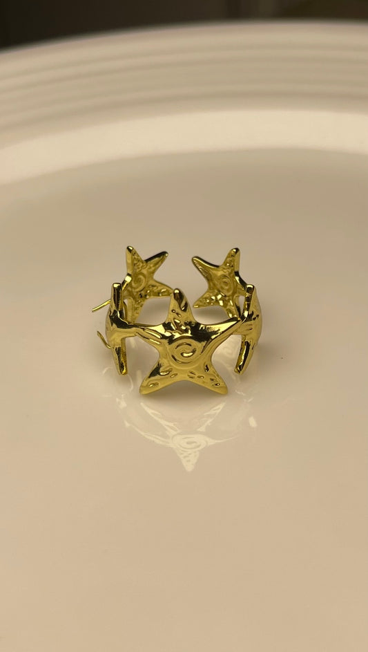Premium Adjustable Stainless Steel Ring