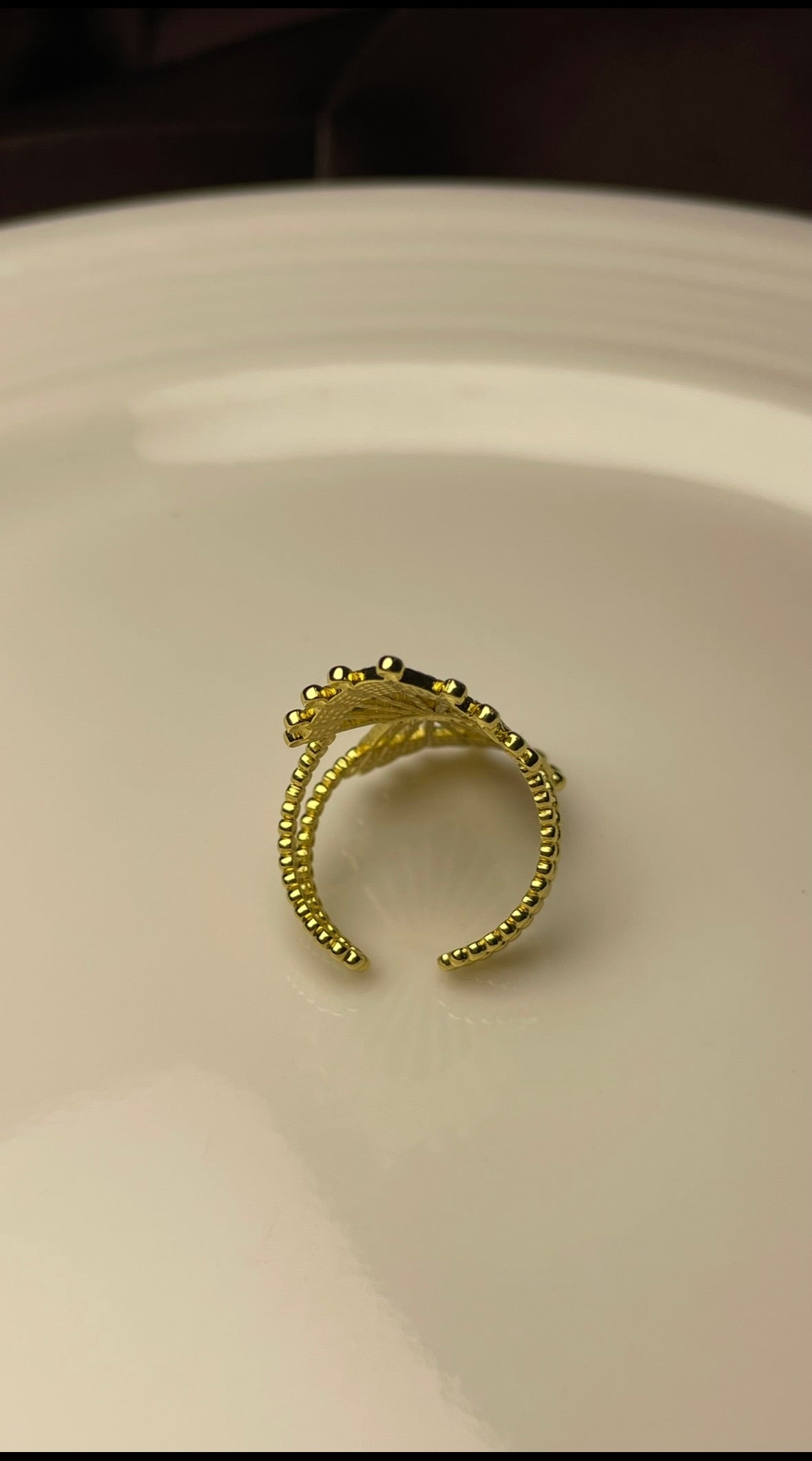 Premium Adjustable Stainless Steel Ring