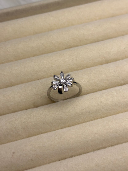 FLAW ADJUSTABLE RING