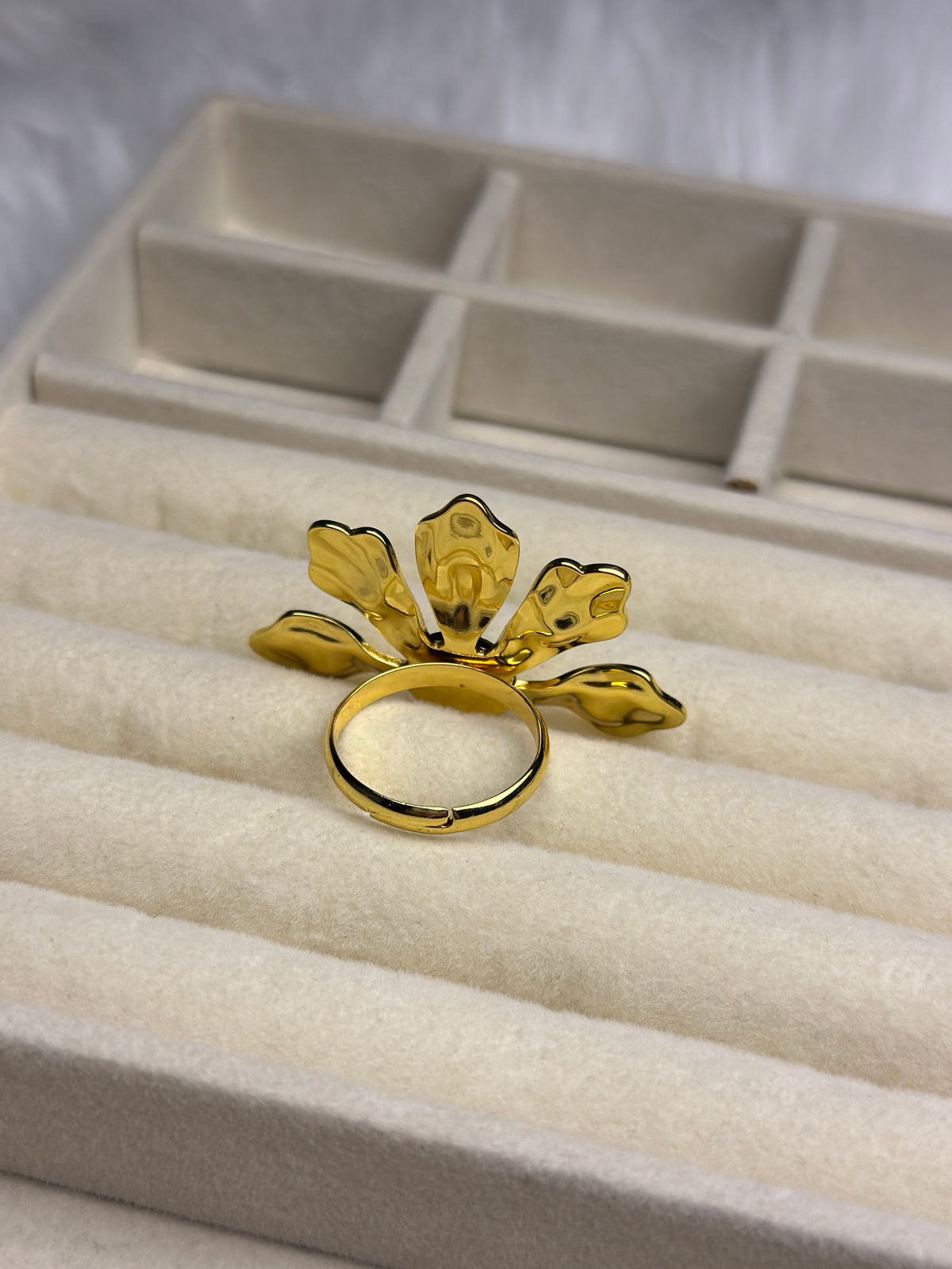 Premium Adjustable Stainless Steel Ring