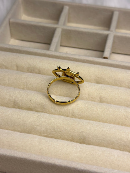 Premium Adjustable Stainless Steel Ring