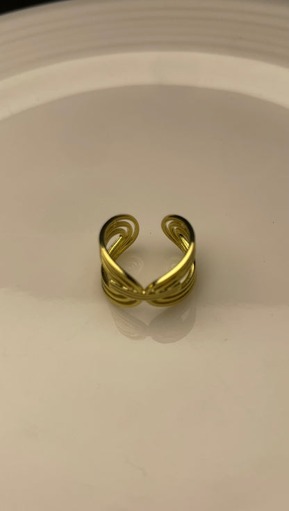 Premium Adjustable Stainless Steel Ring