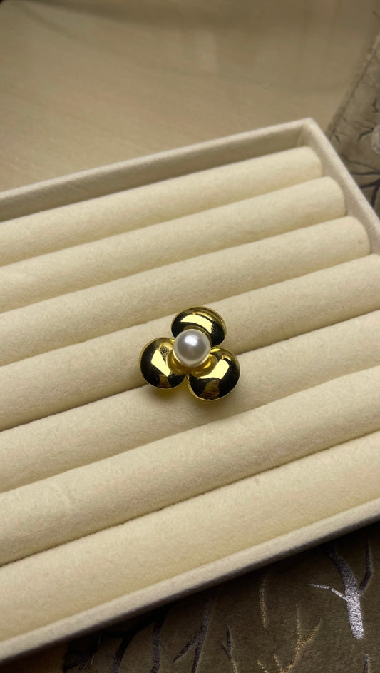 Premium Adjustable Stainless Steel Ring