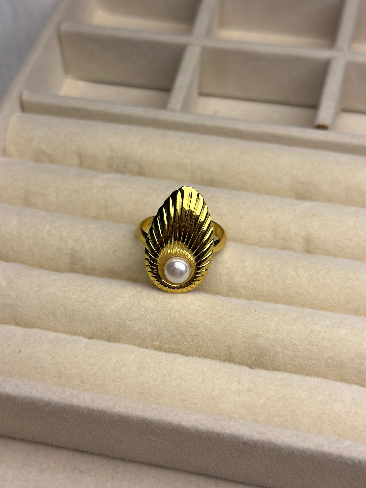 Premium Adjustable Stainless Steel Ring